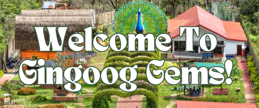 Welcome to Gingoog Gems!